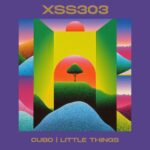 XSS303 | Cubo | Little Things